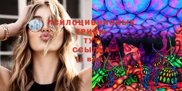 ешки Нягань
