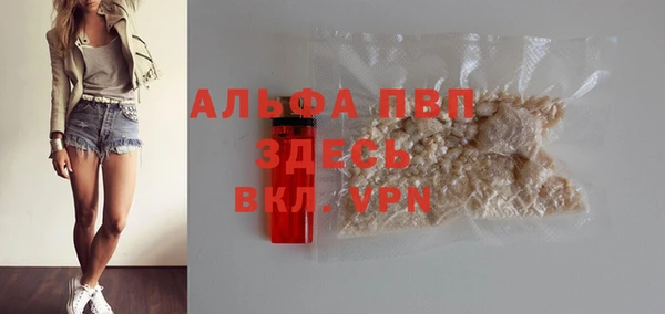 дмт Новодвинск