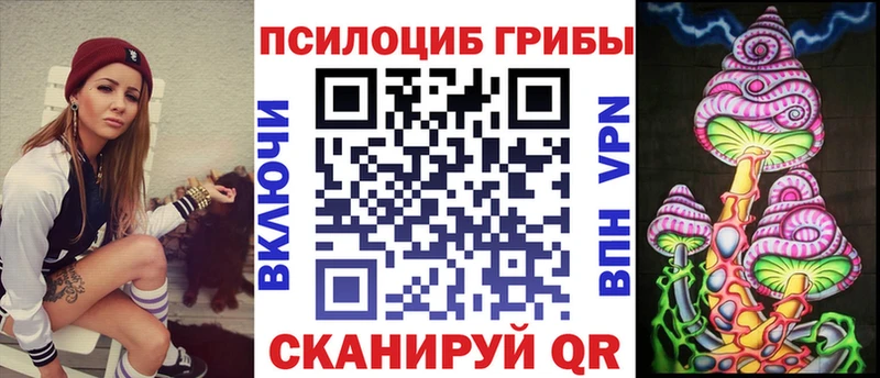 Галлюциногенные грибы Psilocybe  Кингисепп 