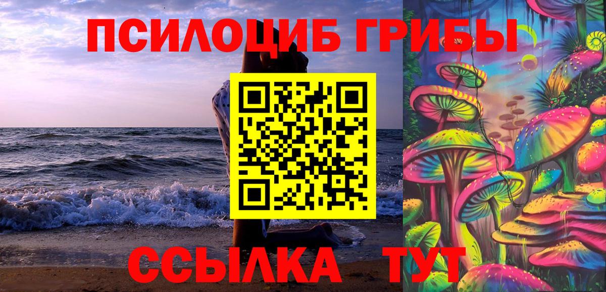 Псилоцибиновые грибы MAGIC MUSHROOMS  купить наркотики цена  Кингисепп 