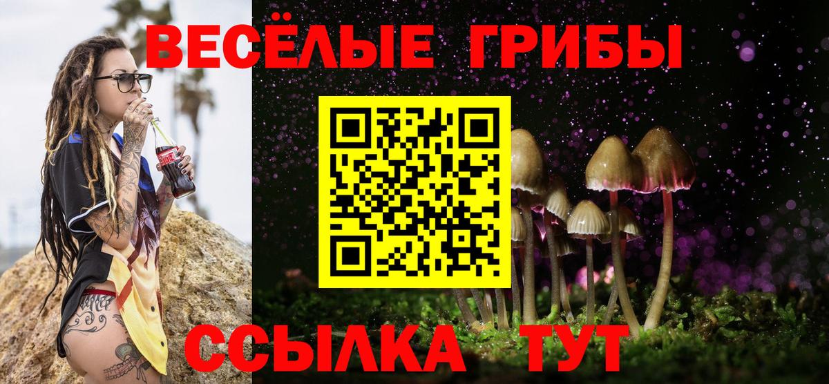 Кингисепп  Псилоцибиновые грибы Magic Shrooms  Вход с VPN 