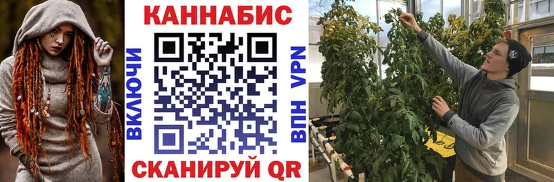 Бошки Шишки OG Kush  купить закладку  Кингисепп 
