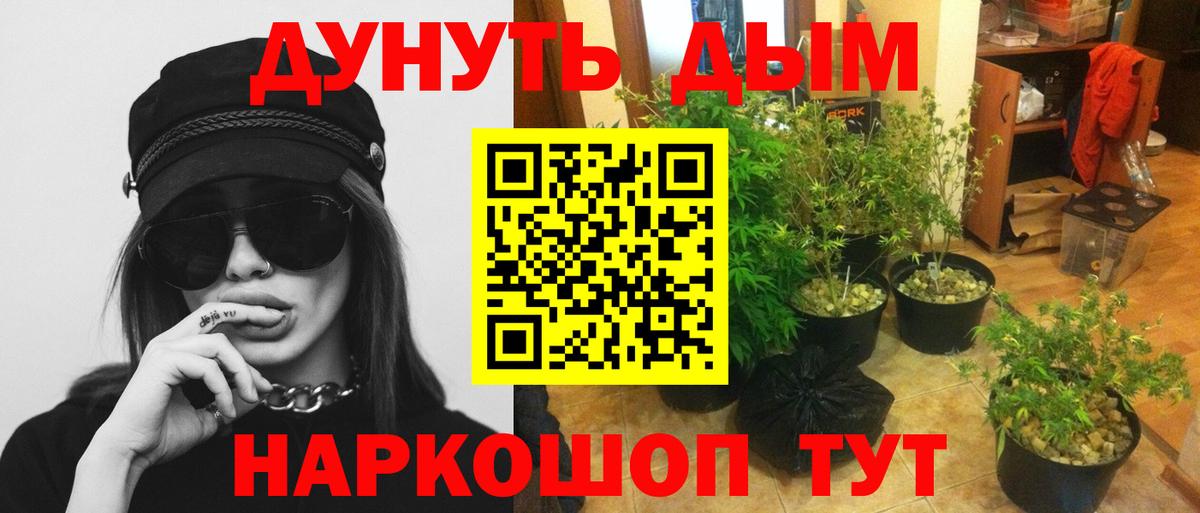 Каннабис Ganja Кингисепп